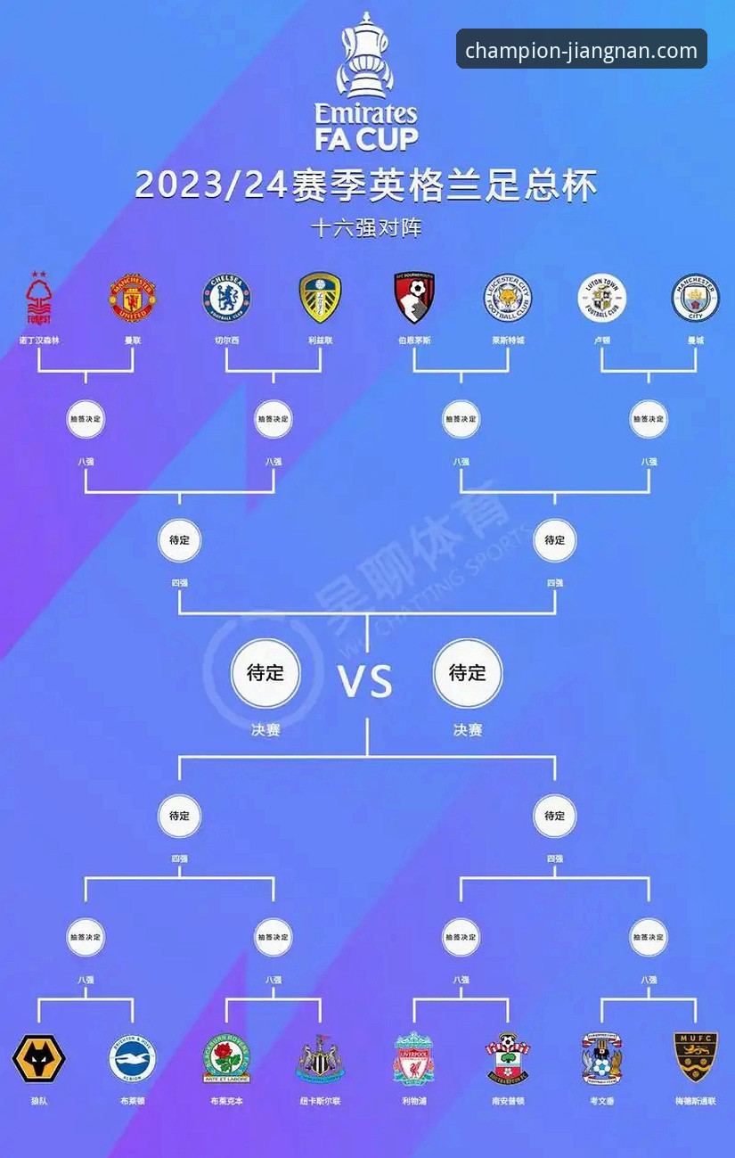 足总杯赛事深度复盘与高清观赛平台操作教程